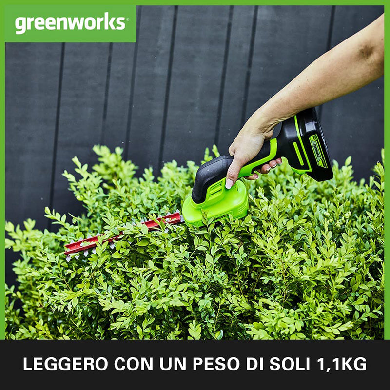 Greenworks G24SHTK2 Decespugliatore e Tagliaerba 2-in-124V -2 IN 1- 2.0AH più 24V DVT, Micro Caricabatt., 0.5AGWM1600607VA