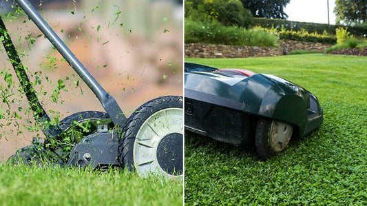 foto che mette in evidenza il taglio dell'erba di una falciatrice (pezzi grandi di erba) e la polverizzazione del robot. Risultato prato perfetto con i robot rasaerba