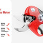 Kit potatura a batterie forbice cesoie con 2 batterie e motosega 6" con asta telescopica